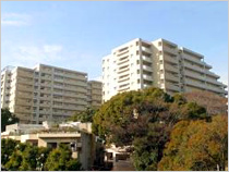 シティコート目黒