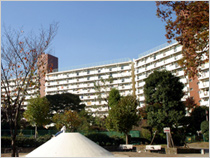 王子五丁目（第1次）