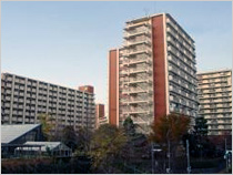 光が丘パークタウン　公園南