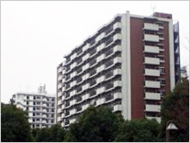 光が丘パークタウン いちょう通り八番街