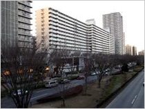 光が丘パークタウン　大通り中央